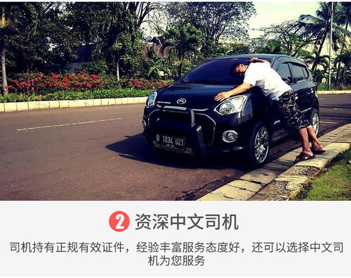 巴厘島當地車隊包車 接送服務 1日租車 diy游玩行程 中英文司機接送 正規營運車輛 自定義出行時間行程 天空之門 秋千 海神廟 滑翔傘 漂流 情人崖 圣泉寺 京打馬尼火山
