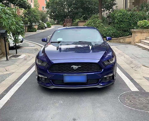 淮南轎車租賃公司