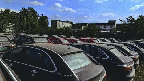 成都市872輛二手騰勢電動汽車整體拍賣,被人以4206萬買下