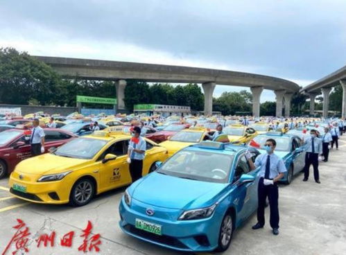 廣州5萬余出租汽車駕駛員參加服務(wù)質(zhì)量考核,近9成aaa級